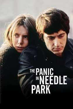 watch The Panic in Needle Park Movie online free in hd on MovieMP4