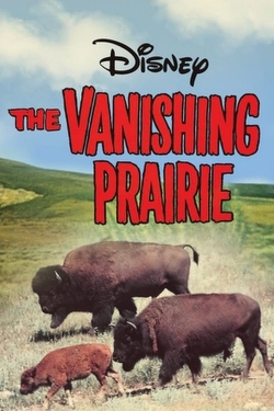 watch The Vanishing Prairie Movie online free in hd on MovieMP4