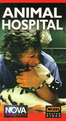 watch Animal Hospital Movie online free in hd on MovieMP4
