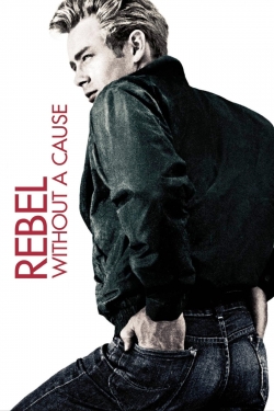 watch Rebel Without a Cause Movie online free in hd on MovieMP4