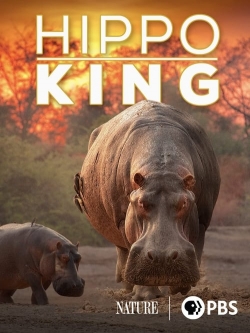 watch Hippo King Movie online free in hd on MovieMP4