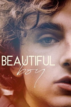 watch Beautiful Boy Movie online free in hd on MovieMP4