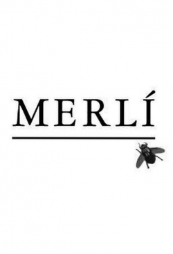 watch Merlí Movie online free in hd on MovieMP4