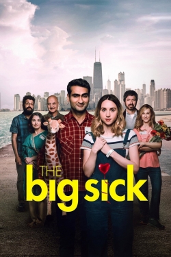 watch The Big Sick Movie online free in hd on MovieMP4