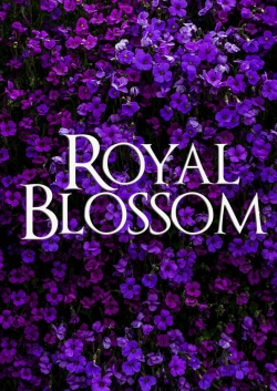 watch Royal Blossom Movie online free in hd on MovieMP4