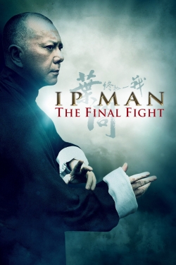 watch Ip Man: The Final Fight Movie online free in hd on MovieMP4