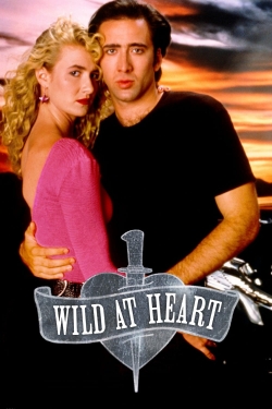 watch Wild at Heart Movie online free in hd on MovieMP4
