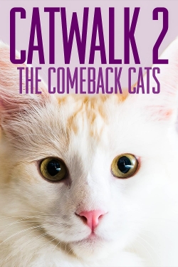 watch Catwalk 2: The Comeback Cats Movie online free in hd on MovieMP4