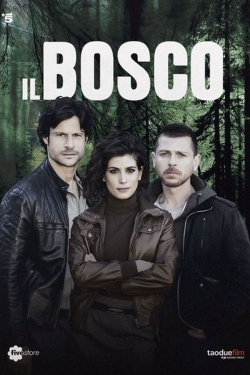 watch O Bosque Escuro Movie online free in hd on MovieMP4
