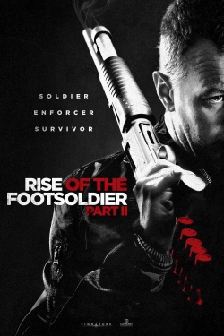 watch Rise of the Footsoldier Part II Movie online free in hd on MovieMP4