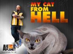 watch My Cat from Hell Movie online free in hd on MovieMP4