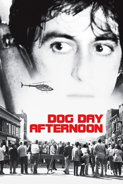 watch Dog Day Afternoon Movie online free in hd on MovieMP4