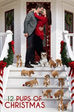 watch 12 Pups of Christmas Movie online free in hd on MovieMP4