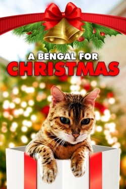 watch A Bengal for Christmas Movie online free in hd on MovieMP4