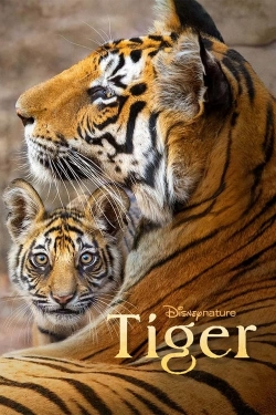 watch Tiger Movie online free in hd on MovieMP4