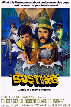 watch Busting Movie online free in hd on MovieMP4