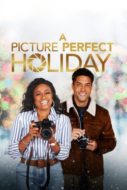 watch A Picture Perfect Holiday Movie online free in hd on MovieMP4