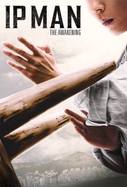 watch Ip Man: The Awakening Movie online free in hd on MovieMP4