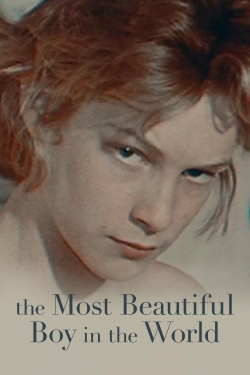 watch The Most Beautiful Boy in the World Movie online free in hd on MovieMP4