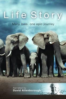 watch Life Story Movie online free in hd on MovieMP4
