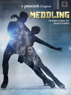 watch Meddling Movie online free in hd on MovieMP4