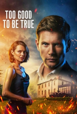 watch Too Good To Be True Movie online free in hd on MovieMP4