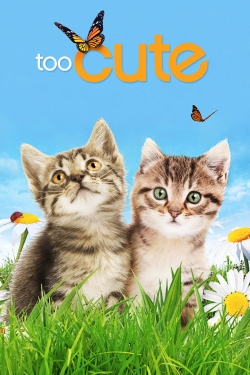 watch Too Cute Movie online free in hd on MovieMP4