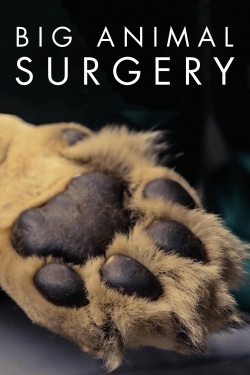 watch Big Animal Surgery Movie online free in hd on MovieMP4