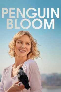 watch Penguin Bloom Movie online free in hd on MovieMP4
