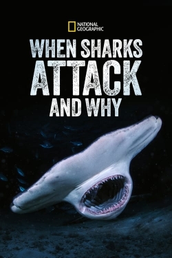 watch When Sharks Attack... and Why Movie online free in hd on MovieMP4