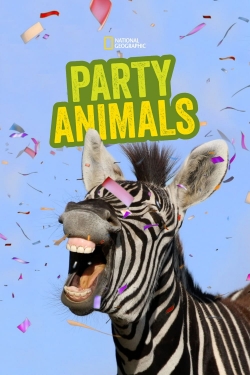 watch Party Animals Movie online free in hd on MovieMP4