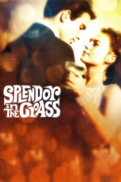 watch Splendor in the Grass Movie online free in hd on MovieMP4