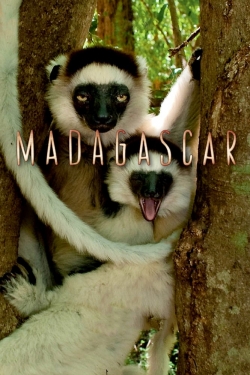 watch Madagascar Movie online free in hd on MovieMP4