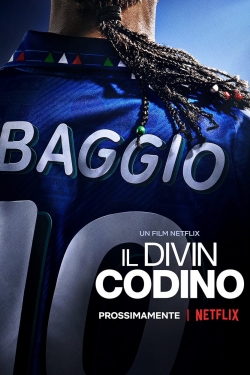 watch Baggio: The Divine Ponytail Movie online free in hd on MovieMP4