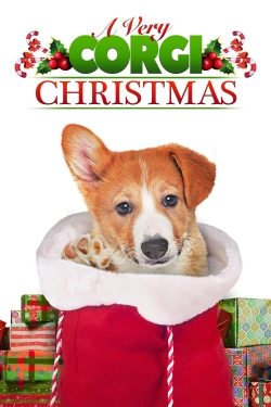 watch A Very Corgi Christmas Movie online free in hd on MovieMP4