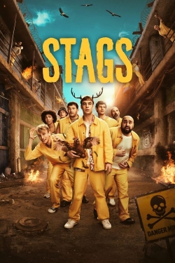 watch Stags Movie online free in hd on MovieMP4