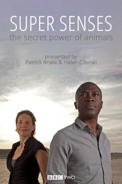 watch Super Senses: The Secret Power of Animals Movie online free in hd on MovieMP4