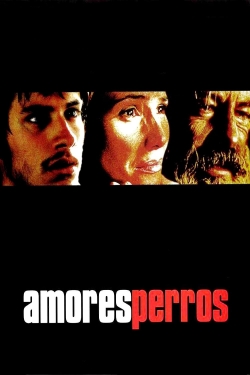 watch Amores Perros Movie online free in hd on MovieMP4