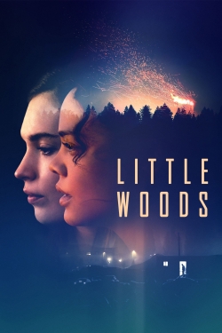 watch Little Woods Movie online free in hd on MovieMP4