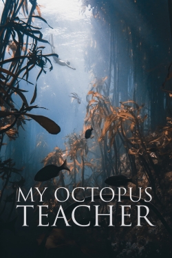 watch My Octopus Teacher Movie online free in hd on MovieMP4