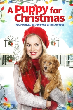 watch A Puppy for Christmas Movie online free in hd on MovieMP4