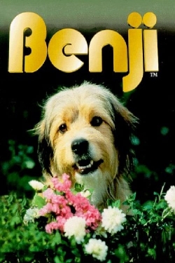 watch Benji Movie online free in hd on MovieMP4