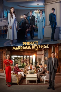 watch Perfect Marriage Revenge Movie online free in hd on MovieMP4