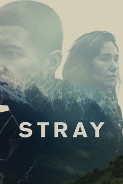 watch Stray Movie online free in hd on MovieMP4