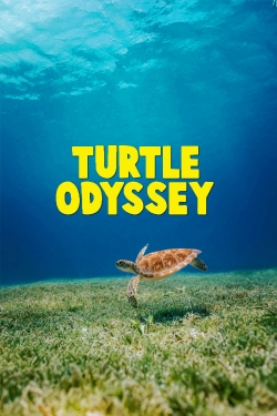 watch Turtle Odyssey Movie online free in hd on MovieMP4