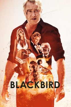 watch Blackbird Movie online free in hd on MovieMP4