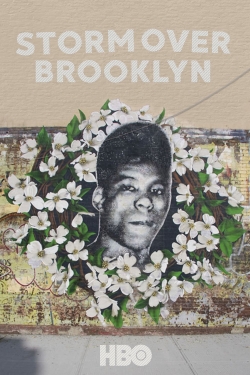 watch Yusuf Hawkins: Storm Over Brooklyn Movie online free in hd on MovieMP4