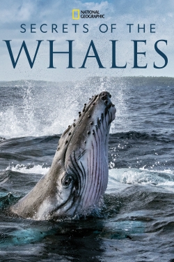 watch Secrets of the Whales Movie online free in hd on MovieMP4