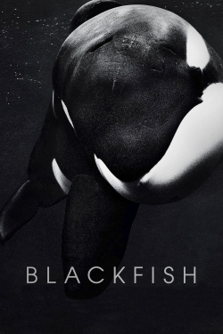 watch Blackfish Movie online free in hd on MovieMP4