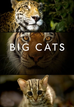 watch Big Cats Movie online free in hd on MovieMP4